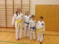 Imatran edustajat itsepuolustusleirillä Lohjalla /28.3.15